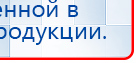 СКЭНАР-1-НТ (исполнение 01)  купить в Биробиджане, Аппараты Скэнар купить в Биробиджане, Скэнар официальный сайт - denasvertebra.ru